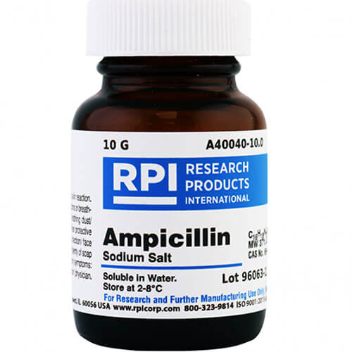 Ampicillin sodium salt